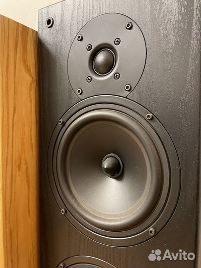 Attitude echo акустика