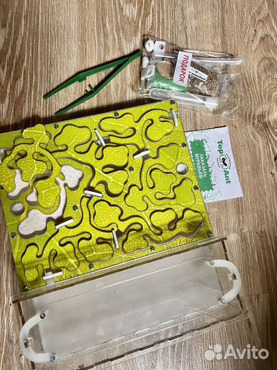 Муравьиная ферма бу