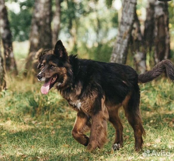 Мудрая и спокойная девочка