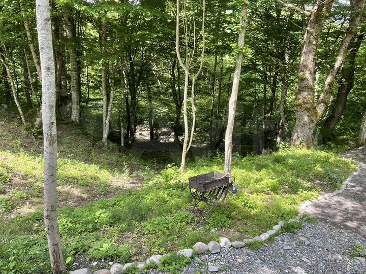 Дом 48 м² на участке 25 сот.