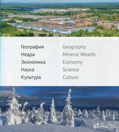 Екатеринбург. Свердловская область (подарочная кож