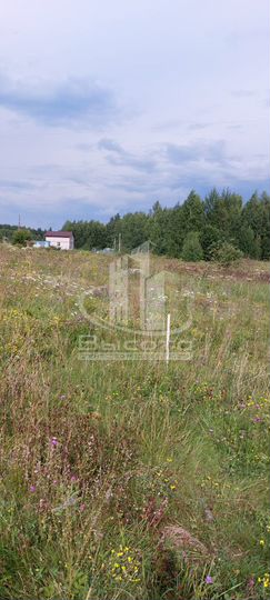 Участок 12 сот. (ИЖС)