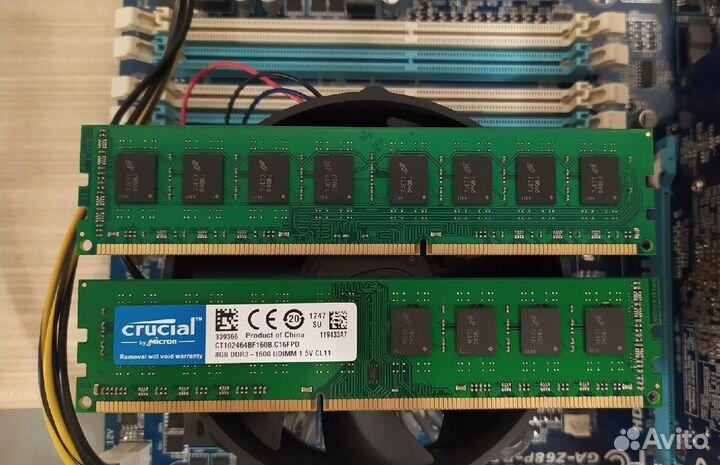 2 по 8 гигов DDR3 - 1600MHz новая Crucial