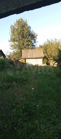 Дом 50 м² на участке 29 сот.