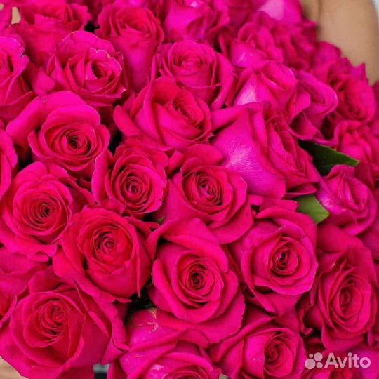 Импортные розы Эквадор