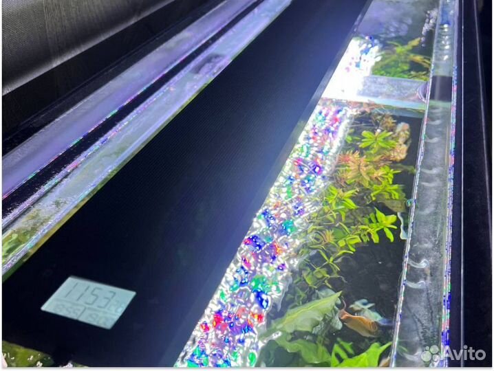 Аквариум с тумбой 250 литров