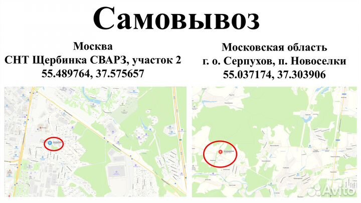 Аскот саженцы роз кустовых