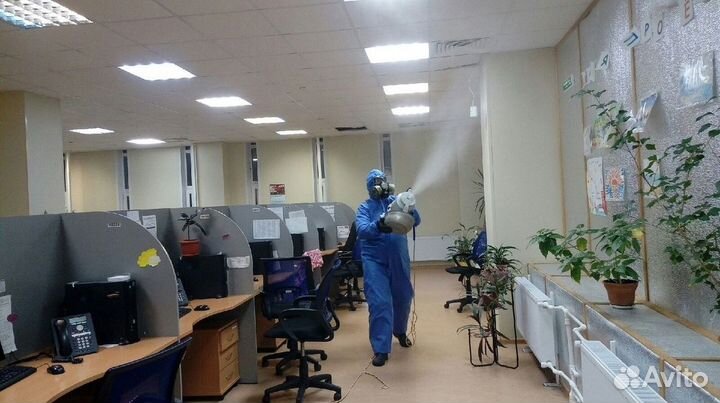 Средство для Уничтожения клопов Дезинсекции тараканов