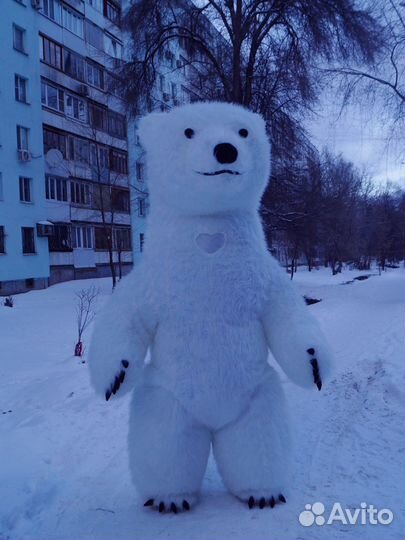 Поздравление от белого мишки