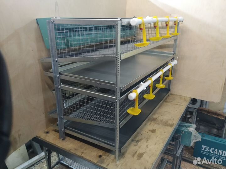 Клетки для содержания перепелов