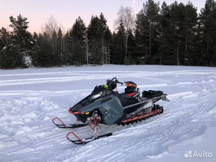 Polaris PRO RMK 800 Ltd