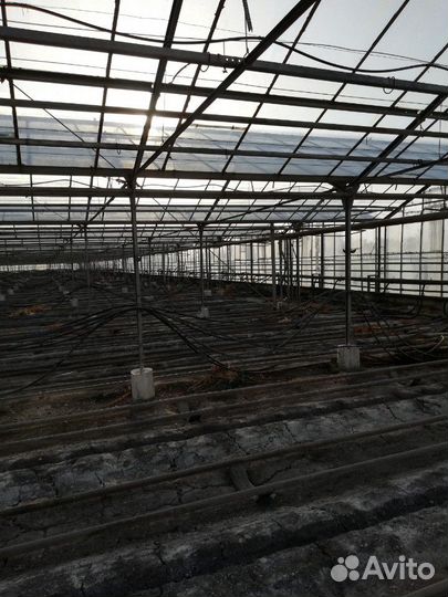 Теплица Антрацит