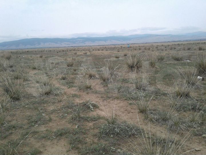 Участок 15 сот. (ИЖС)