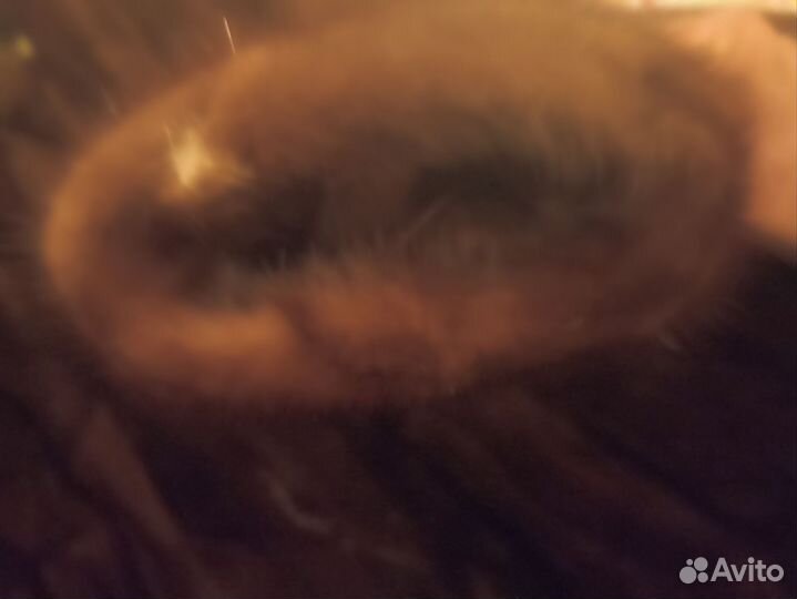 Полушубок из лапок норки. 52 - 54