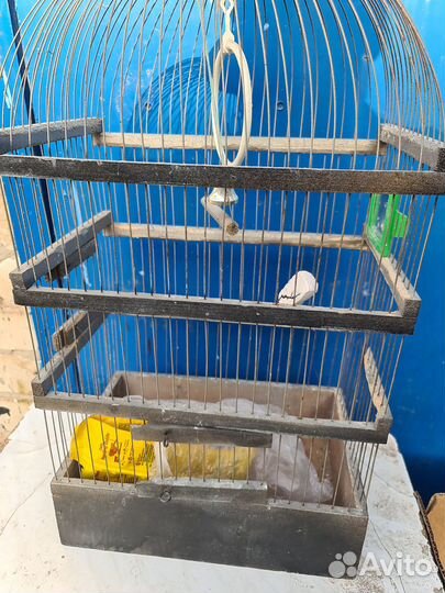 Клетка для крупного попугая
