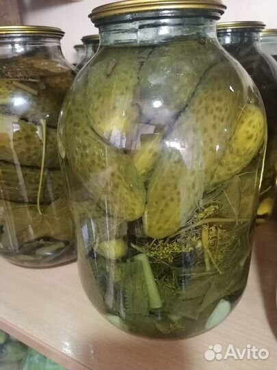 Огурцы, помидоры, арбузы, кабачки