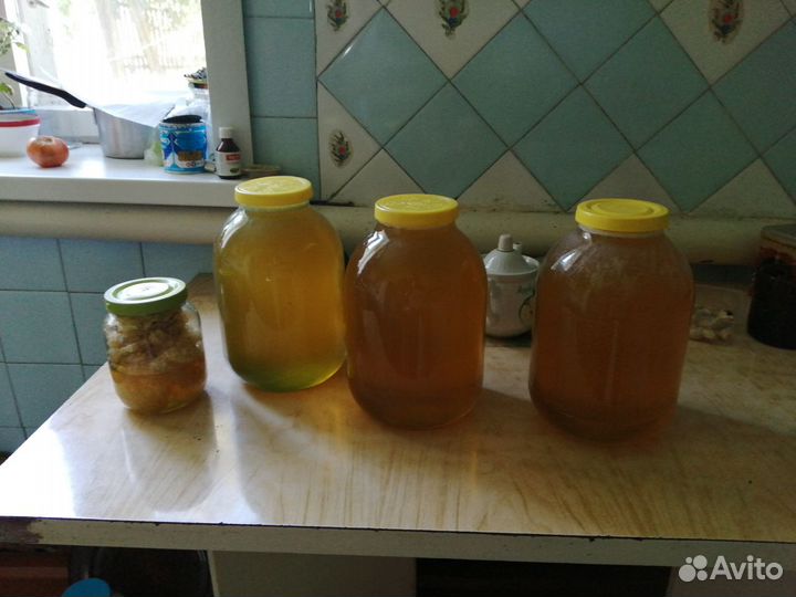 Мед в сотах