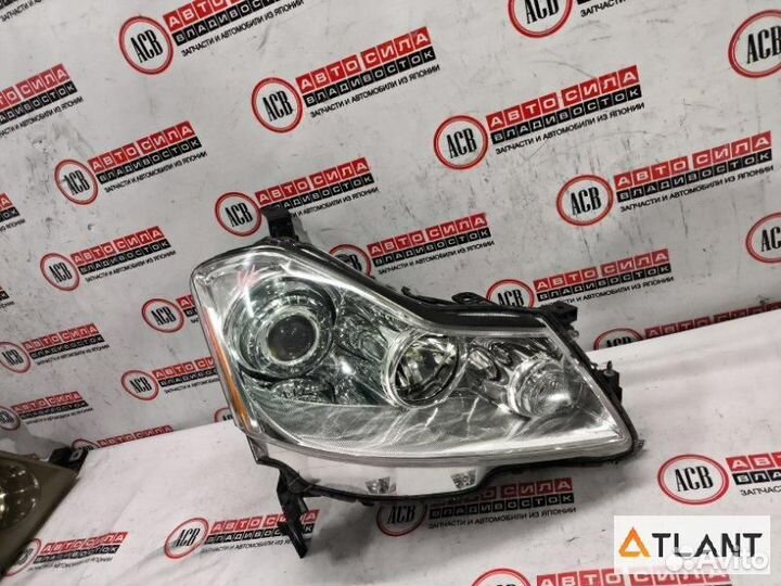 Фара правая nissan fuga