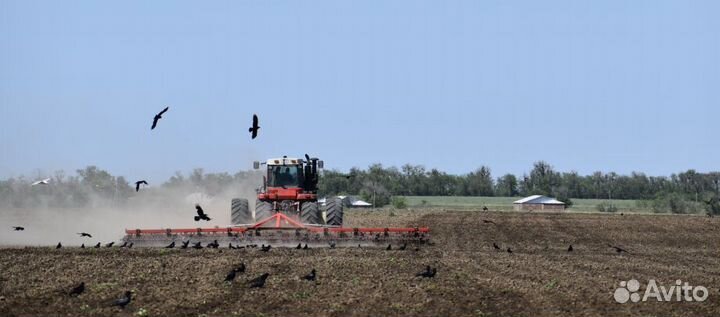 Культиватор Solar Fields КС-8(М) EURO, 2023