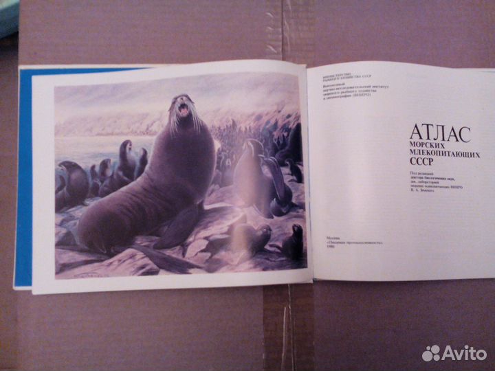 Атлас морских млекопитающих СССР