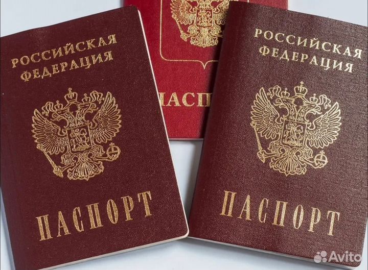 РВП, ВНЖ, переводы, миграционные услуги. Краснодар