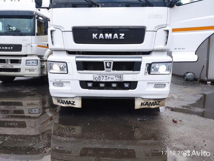 КамАЗ 5490 NEO, 2019