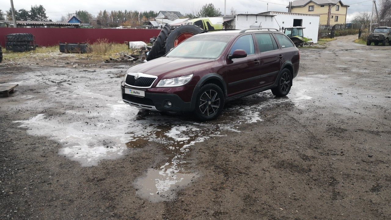 Skoda Octavia Scout: фото владельца