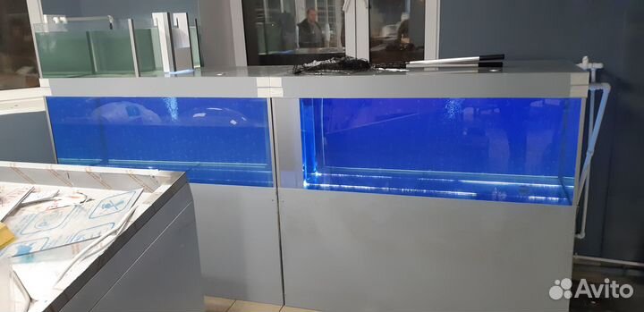 Аквариум для торговли живой рыбой