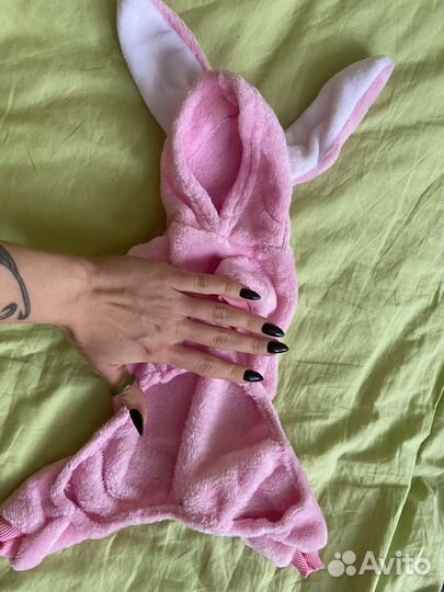 Одежда для собак мелких пород