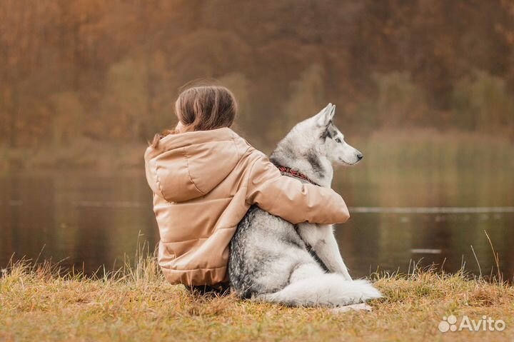 Фотограф-анималист, фотопрогулки с собаками