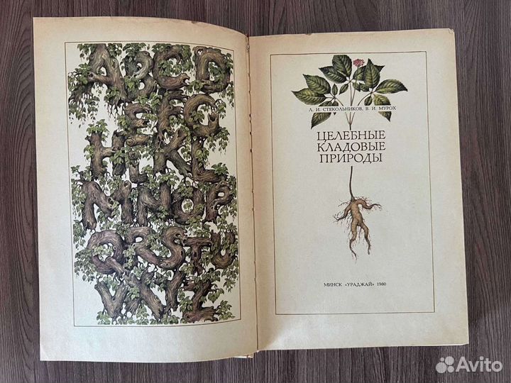В.И. Мурох. Целебные кладовые природы