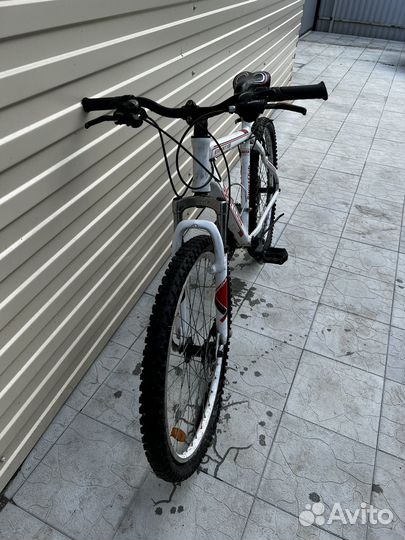 Sport club expert 100