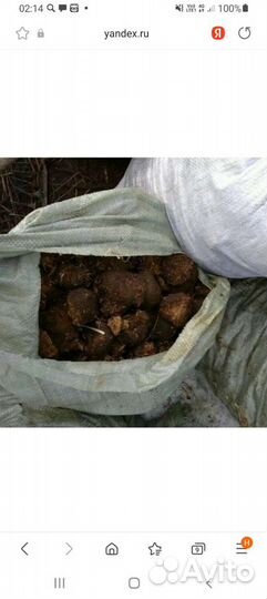 Конский навоз