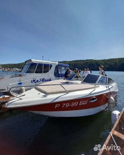 Поездка в Святые кустики