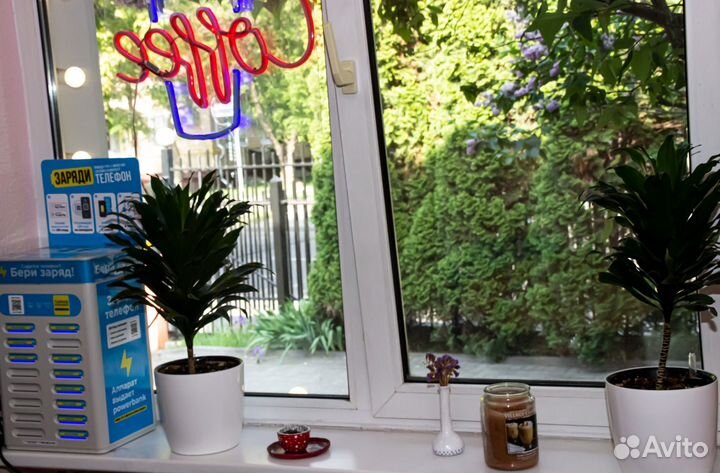 Бариста-партнер в кофейню