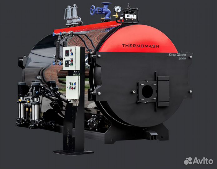 Парогенератор паровой котел 500-5000 кг Thermomash
