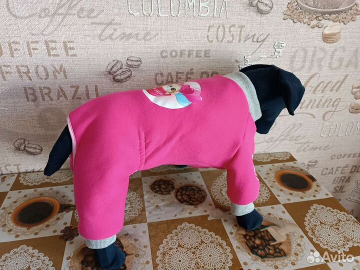 Одежда для собак