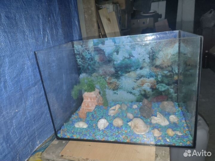 Аквариум
