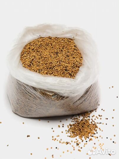 Семена горчицы 1 кг