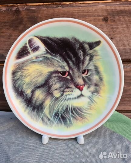 Настенная тарелка 