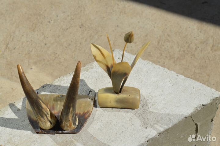 Рога косули