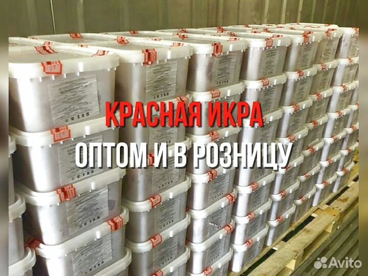 Икра Кеты опт