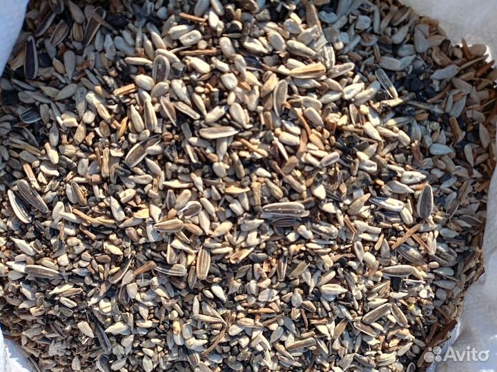 Отходы семечки