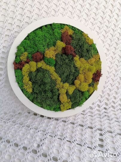 Интерьерное панно из мха
