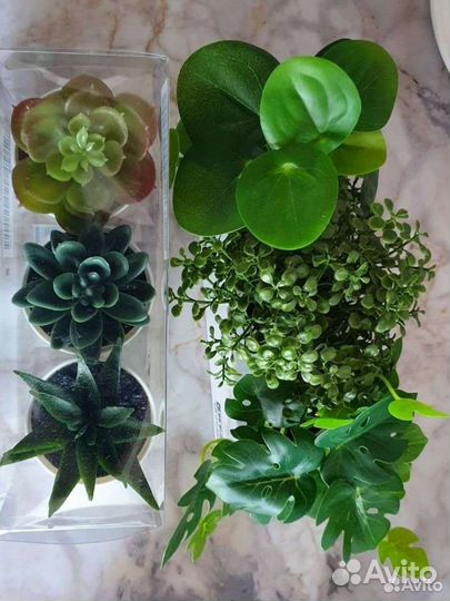 IKEA Цветы искусственные в горшочках. Суккулент
