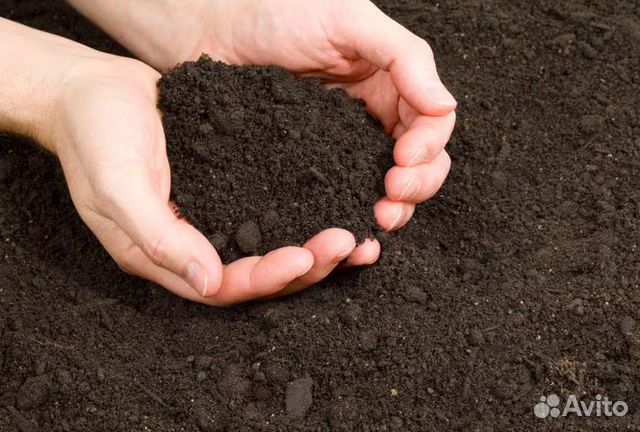 Чернозем грунт