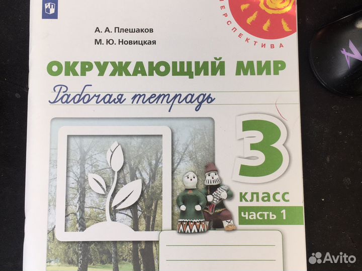 Рабочие тетради 3 класс перспектива, огэ