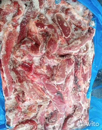 Мясо для собак