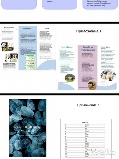 Создание презентаций, проектов