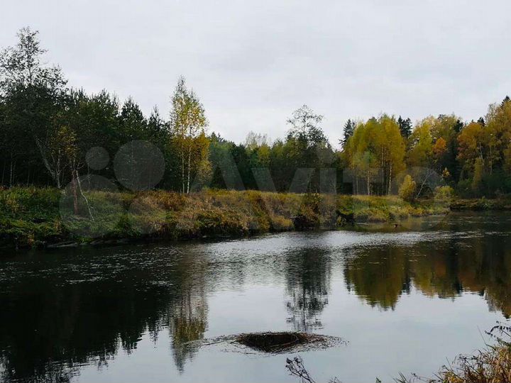 Участок 20 га (СНТ, ДНП)